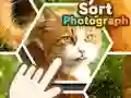 Гаме Sortiraj fotografije онлајн Гаме Sortiraj fotografije онлајн