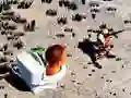 Гаме Пукање у ТопДовн Скибиди ВЦ онлајн Гаме Пукање у ТопДовн Скибиди ВЦ онлајн