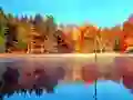 Гаме Onlajn Simulator Ribolova онлајн