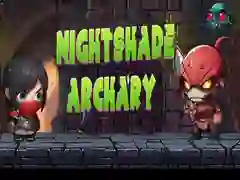 Гаме Streljanje iz noćne senke онлајн