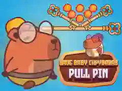 Гаме Spasi bebe kapibaru Pull Pin онлајн Гаме Spasi bebe kapibaru Pull Pin онлајн