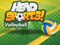 Гаме Волейбал Head Sports онлајн