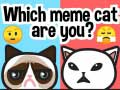 Гаме Koja si meme mačka? онлајн
