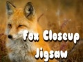 Гаме Загонетка лисе у близини онлајн
