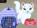 Гаме Baby Taylor: Briga o Kućnim Ljubimcima онлајн