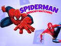 Гаме Igra pamćenja Spidermana онлајн