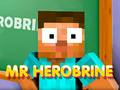 Гаме Gospodin Herobrine онлајн