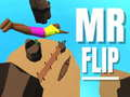Гаме Gospodin Flip онлајн