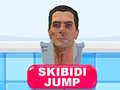 Гаме Skibidi Skok онлајн