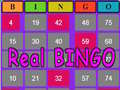 Гаме Pravo BINGO онлајн