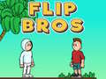 Гаме Flip Braća онлајн